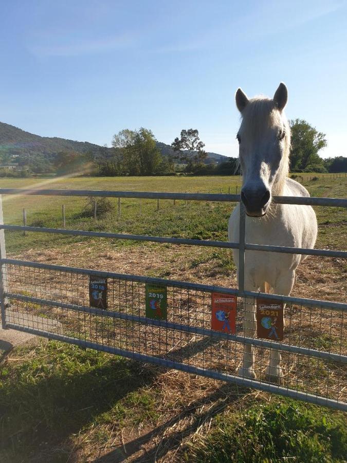 Vila Ferme De Chiuni Cargèse Exteriér fotografie