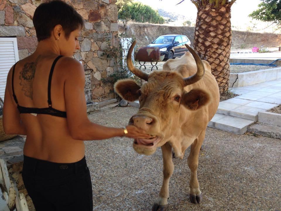 Vila Ferme De Chiuni Cargèse Exteriér fotografie