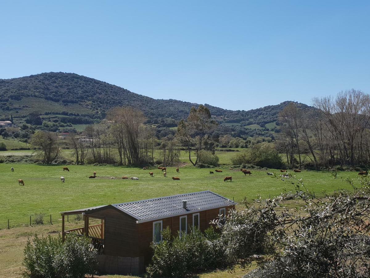 Vila Ferme De Chiuni Cargèse Exteriér fotografie