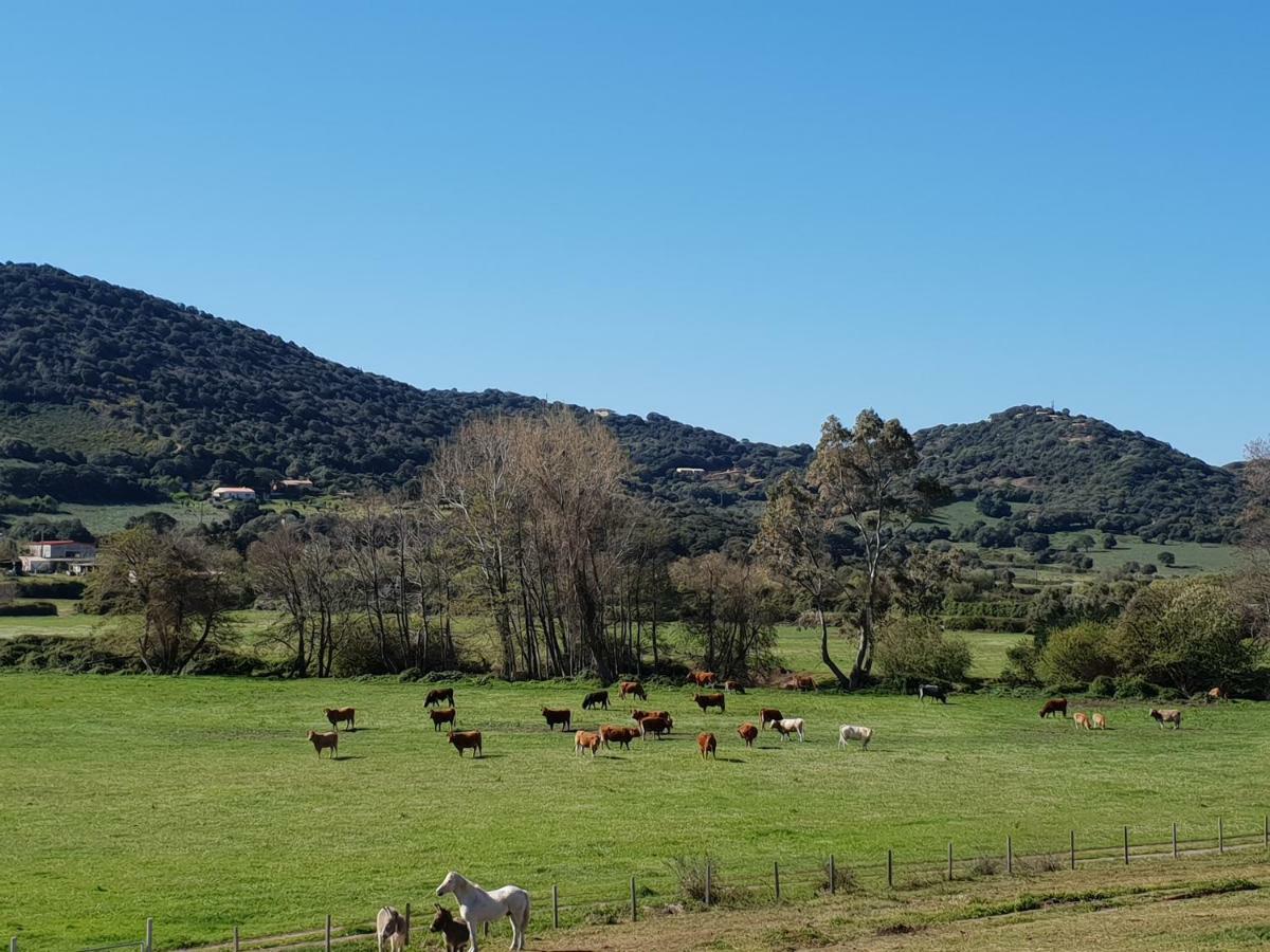 Vila Ferme De Chiuni Cargèse Exteriér fotografie